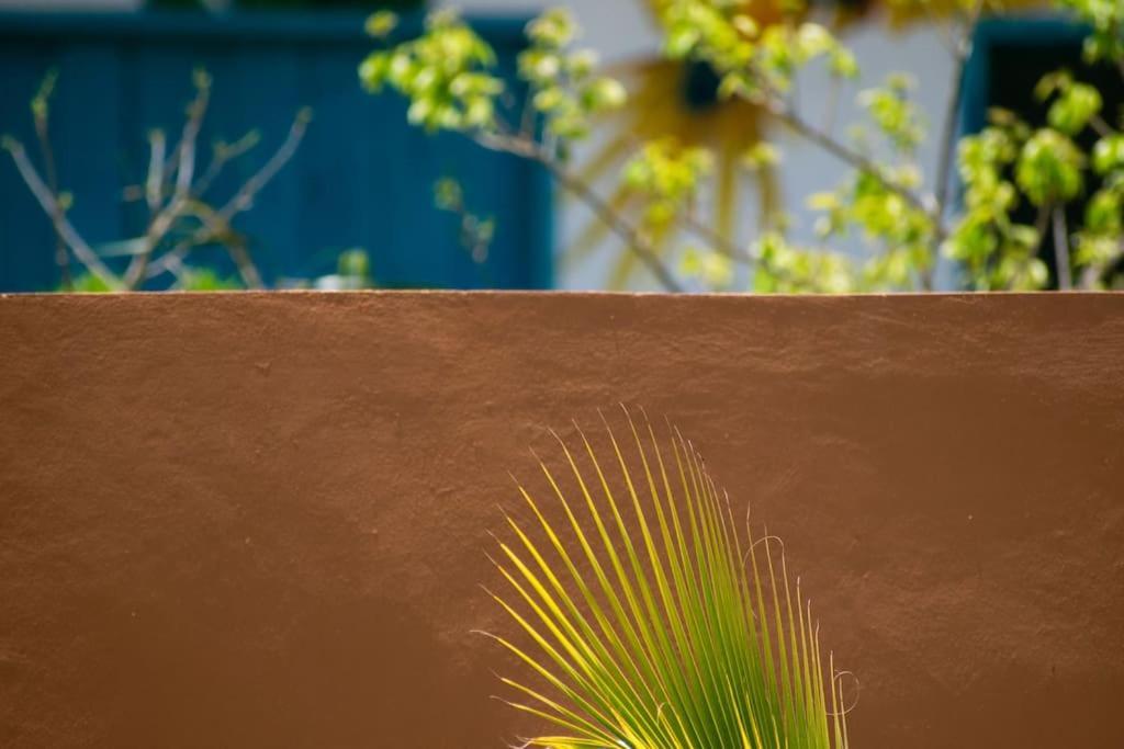 Disfruta En La Casa De Lola / Enjoy At Lolas House Progreso  Esterno foto
