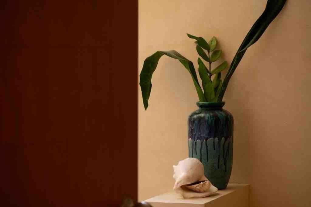 Disfruta En La Casa De Lola / Enjoy At Lolas House Progreso  Esterno foto